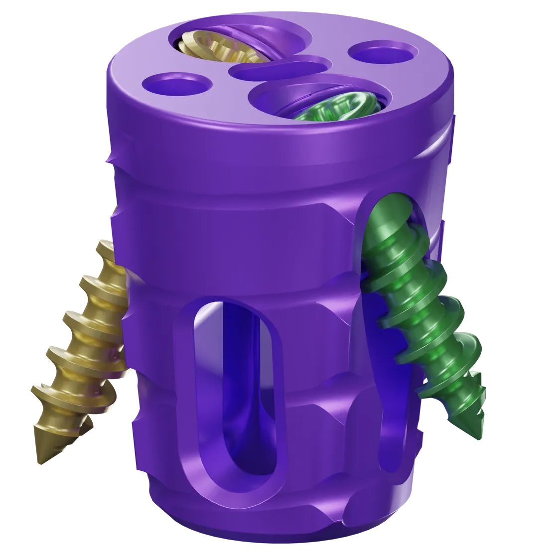 SiLO TFX transfixing bridge and fixation screws