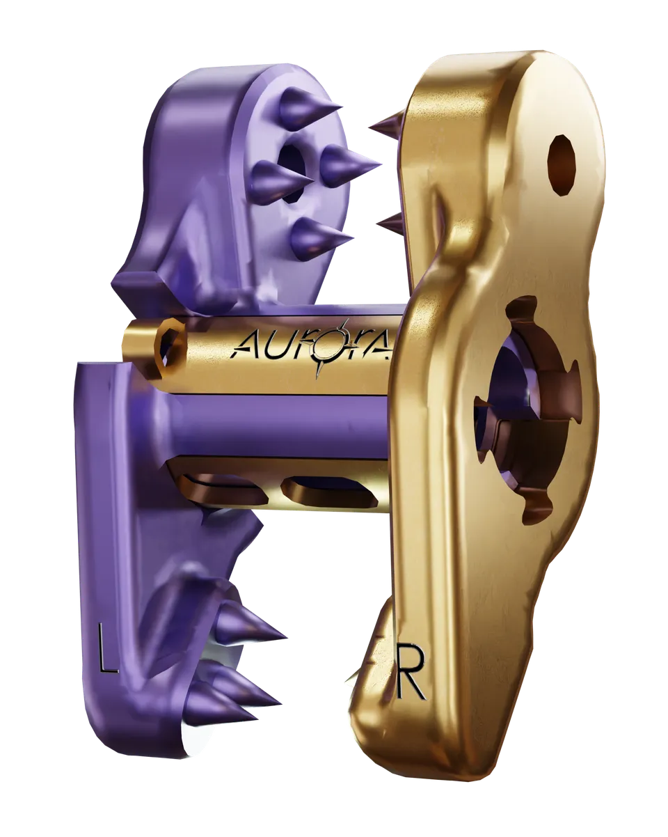 Aurora ZIP 51 interspinous fusion implant