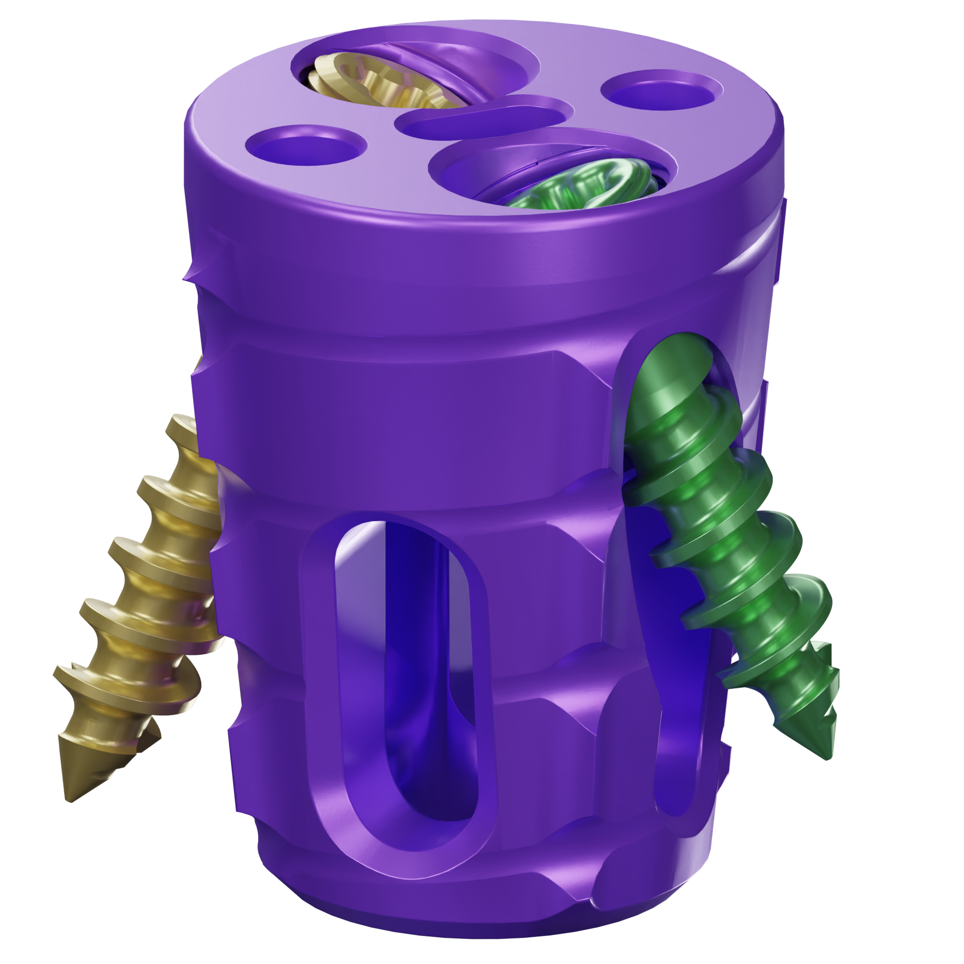 Aurora SiLO TFX implant SiLO TFX transfixing bridge and fixation screws
