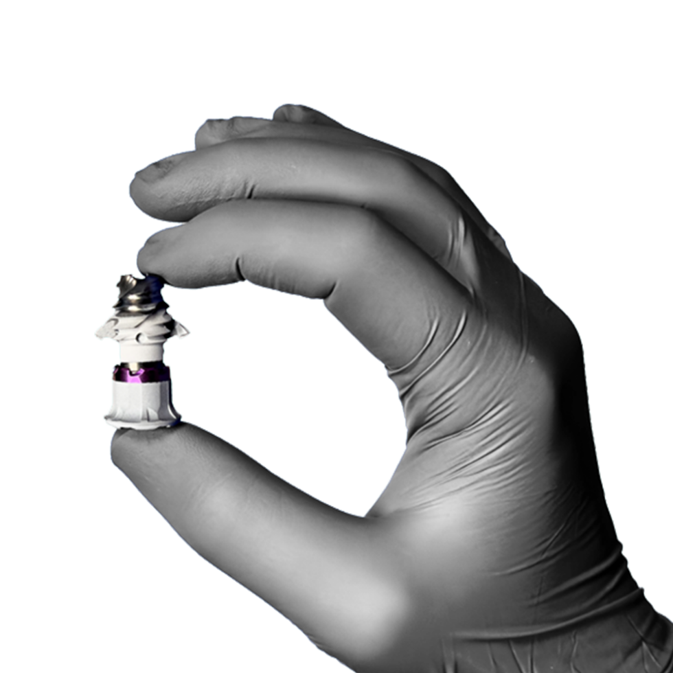 Liberty SI titanium implant Liberty SI titanium implant